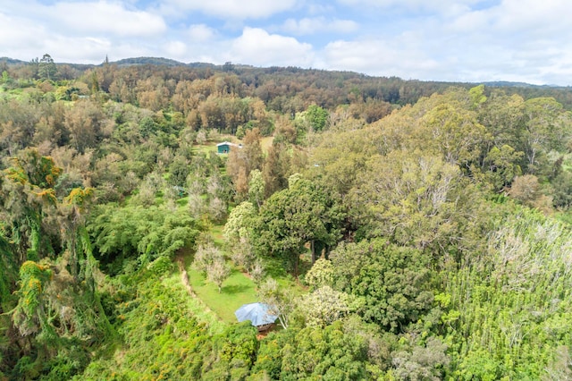 47-4630 Cane Haul Rd, Honokaa, HI 96727