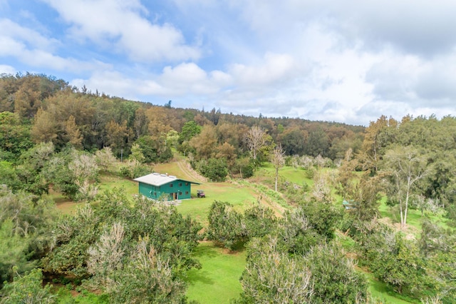 47-4630 Cane Haul Rd, Honokaa, HI 96727