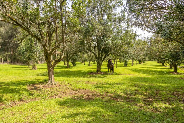 47-4630 Cane Haul Rd, Honokaa, HI 96727