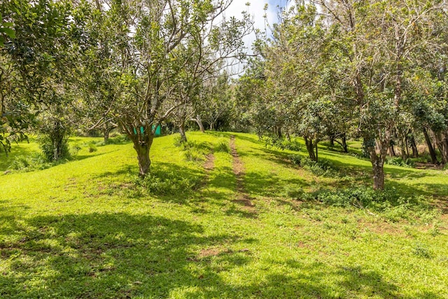 47-4630 Cane Haul Rd, Honokaa, HI 96727