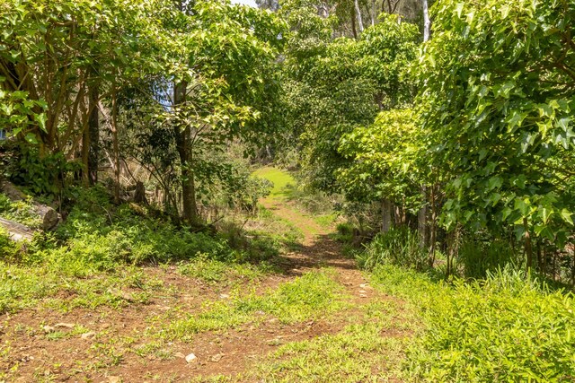 47-4630 Cane Haul Rd, Honokaa, HI 96727