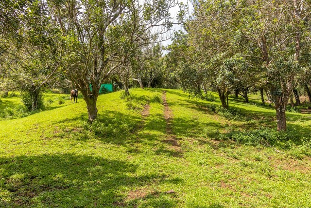 47-4630 Cane Haul Rd, Honokaa, HI 96727