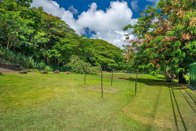 Puu Hale Lp, Anahola, HI 96703