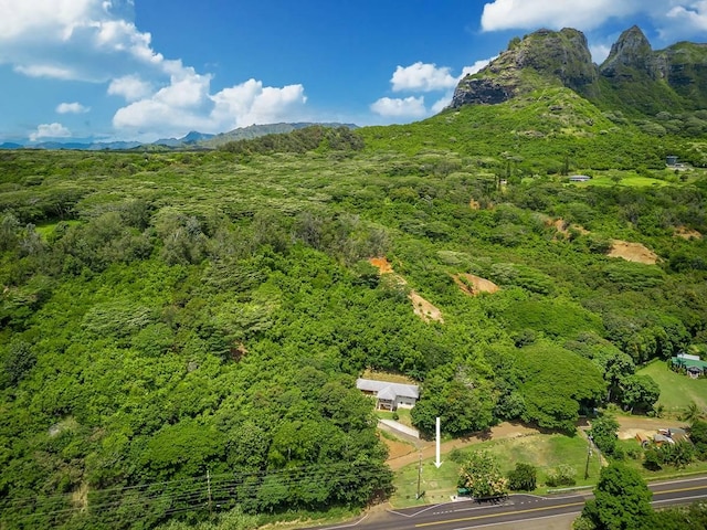 Puu Hale Lp, Anahola, HI 96703