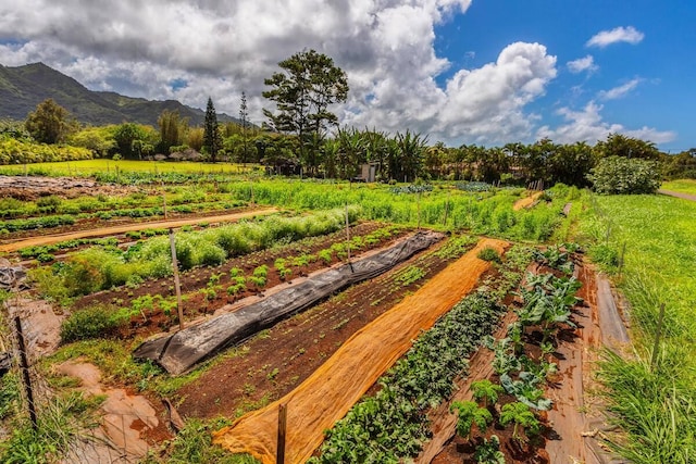 6235 Koolau Rd, Anahola, HI 96703