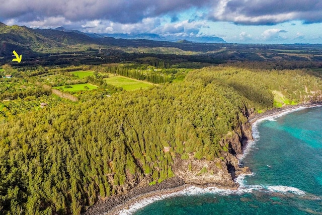 6235 Koolau Rd, Anahola, HI 96703