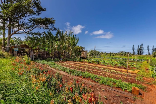 6235 Koolau Rd, Anahola, HI 96703