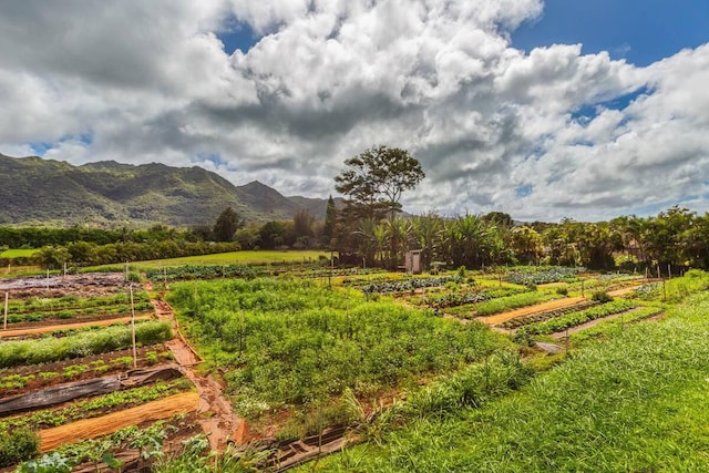 6235 Koolau Rd, Anahola, HI 96703