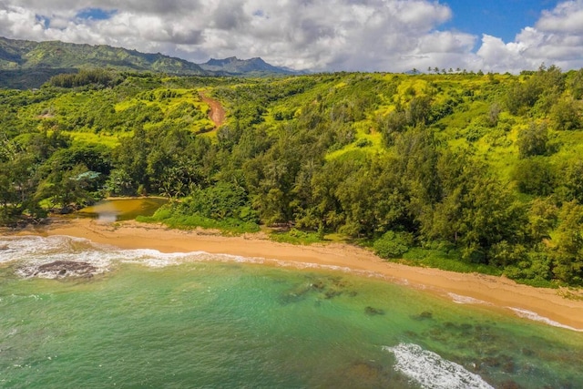 6235 Koolau Rd, Anahola, HI 96703