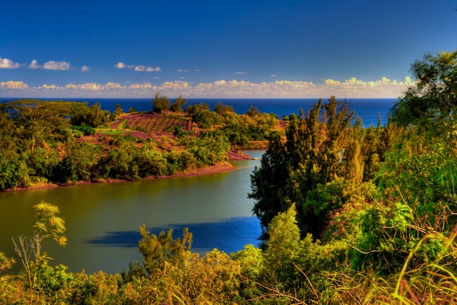 72 Holo Malanai St, Koloa, HI 96756