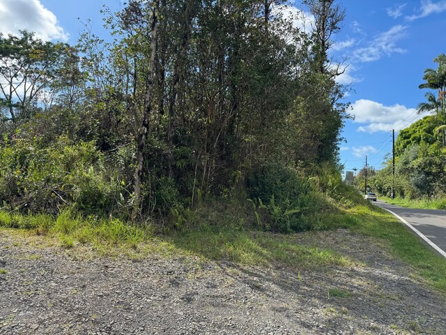 16-1122 Moho Rd, Mountain View, HI 96760 - photo 16