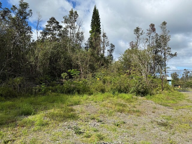 16-1122 Moho Rd, Mountain View, HI 96760 - photo 17