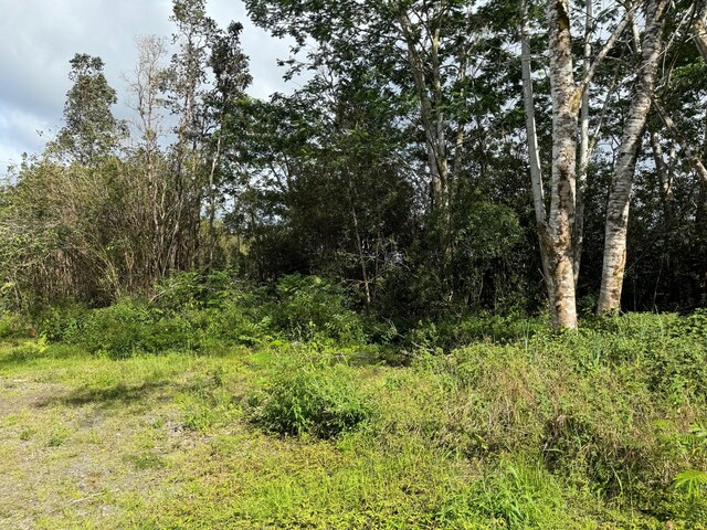 16-1122 Moho Rd, Mountain View, HI 96760 - photo 18