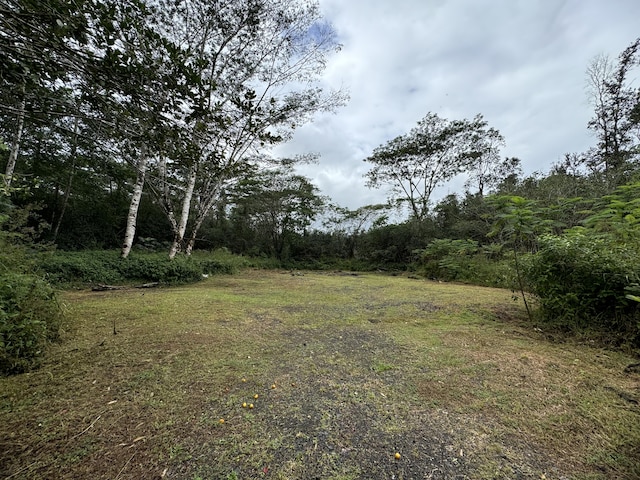 16-1122 Moho Rd, Mountain View, HI 96760 - photo 1