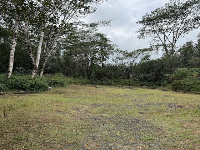16-1122 Moho Rd, Mountain View, HI 96760 - photo 3