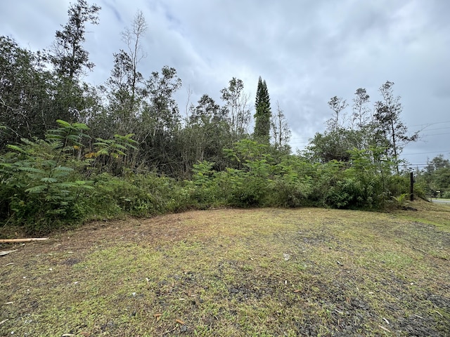 16-1122 Moho Rd, Mountain View, HI 96760 - photo 4