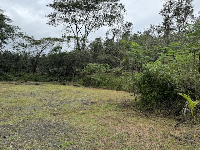 16-1122 Moho Rd, Mountain View, HI 96760 - photo 5