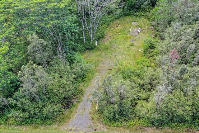 16-1122 Moho Rd, Mountain View, HI 96760 - photo 9