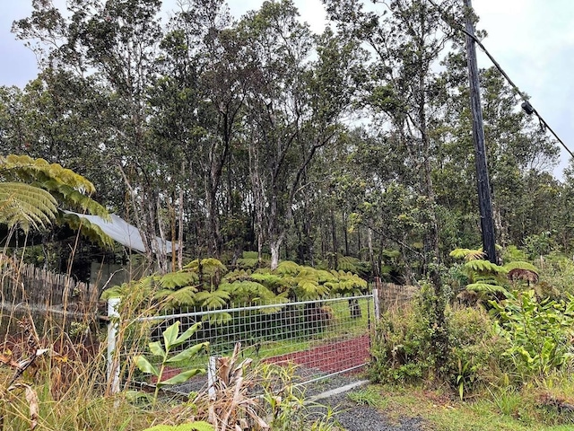 11-3135 Alii Anela St, Volcano, HI 96785 - view of yard
