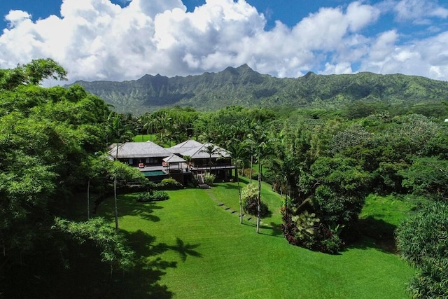 5880 Kahiliholo Rd, Kilauea, HI 96754 - photo 1