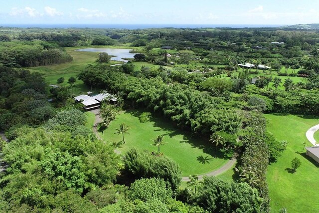5880 Kahiliholo Rd, Kilauea, HI 96754 - photo 29