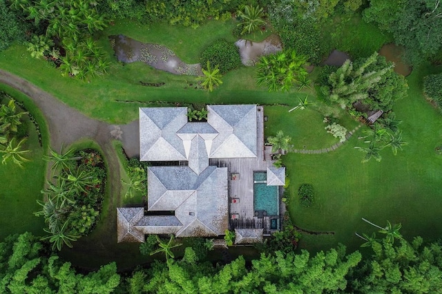 5880 Kahiliholo Rd, Kilauea, HI 96754 - photo 30