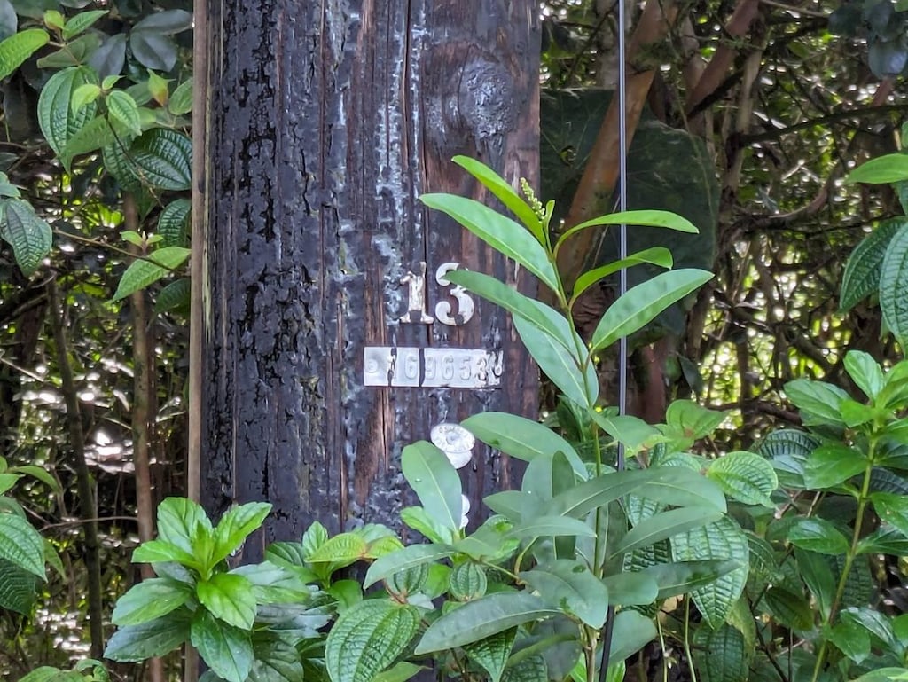722 11th Ave, Keaau, HI 96749