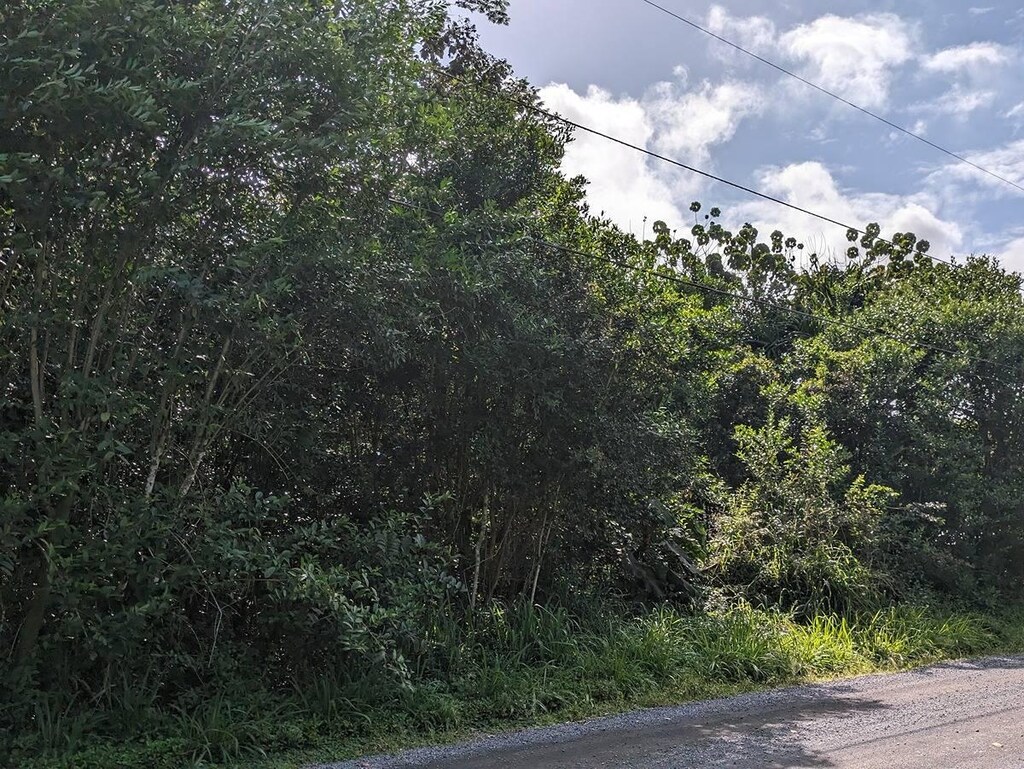 722 11th Ave, Keaau, HI 96749