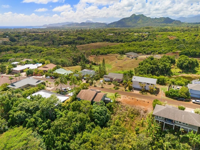 Kahana St, Kapaa, HI 96746 - photo 4