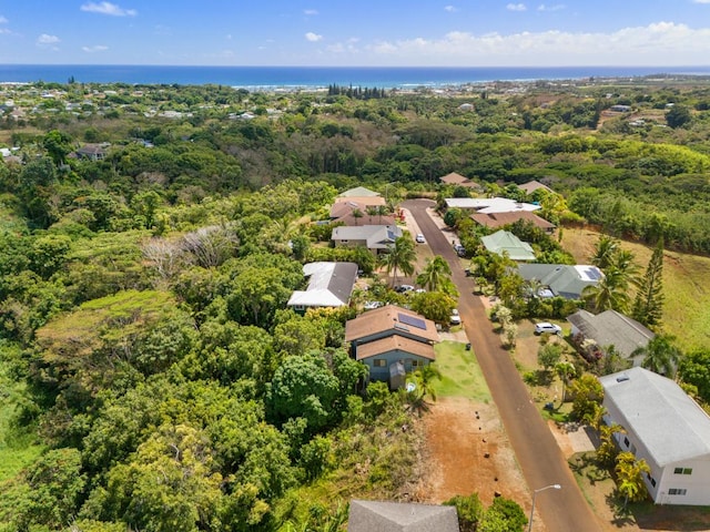 Kahana St, Kapaa, HI 96746 - photo 6