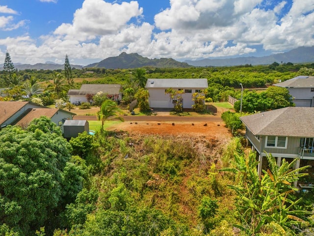 Kahana St, Kapaa, HI 96746 - photo 7
