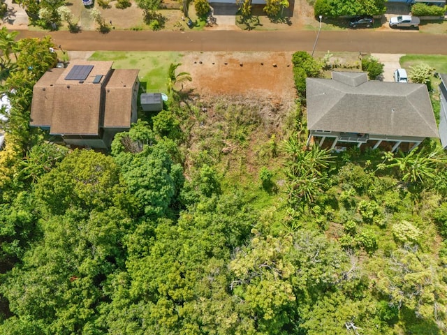 Kahana St, Kapaa, HI 96746 - photo 8