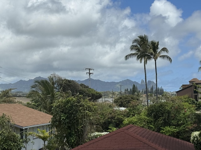 04-1176-A Kuhio Hwy Unit 2, Kapaa, HI 96746 - photo 13
