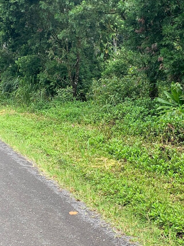 Railroad Ave, Keaau, HI 96749