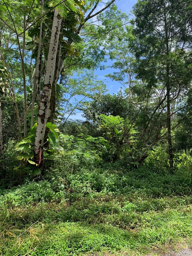 Railroad Ave, Keaau, HI 96749
