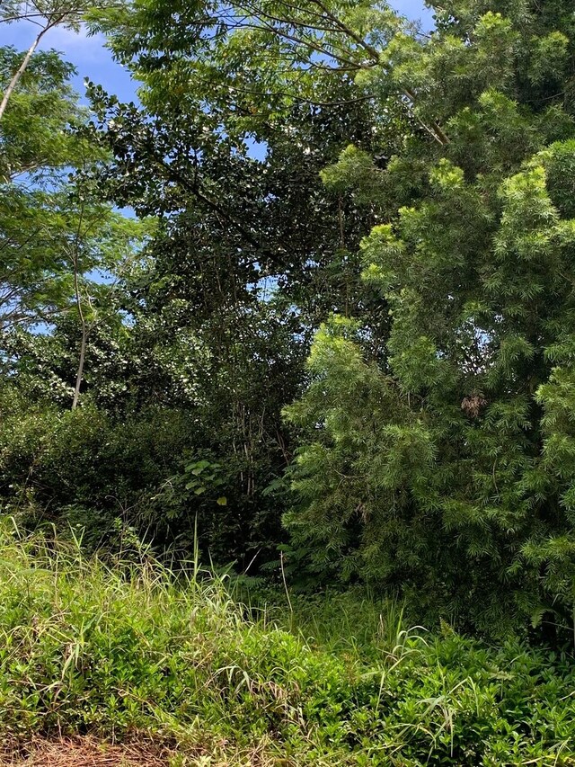 Railroad Ave, Keaau, HI 96749
