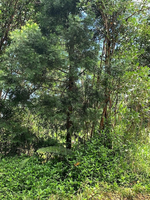 Railroad Ave, Keaau, HI 96749