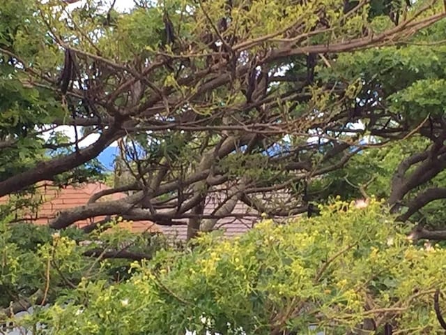 2253 Poipu Rd Unit 229, Koloa, HI 96756 - photo 14
