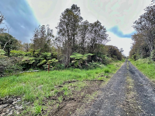 Makaala Rd, Mountain View, HI 96785 - photo 1