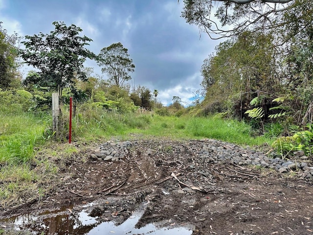 Makaala Rd, Mountain View, HI 96785 - photo 2