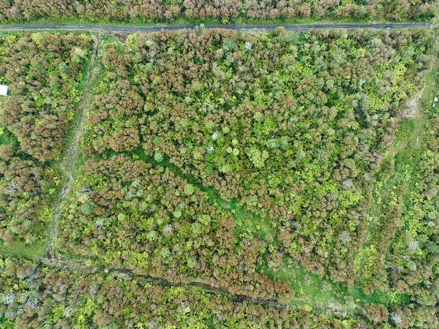 Makaala Rd, Mountain View, HI 96785 - photo 7