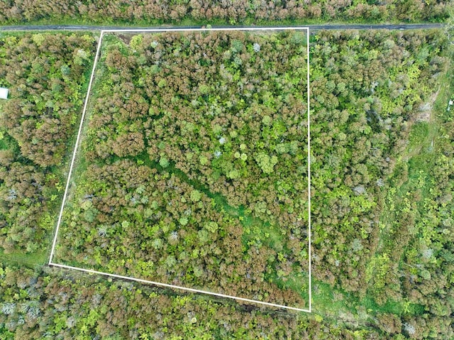 Makaala Rd, Mountain View, HI 96785 - photo 8