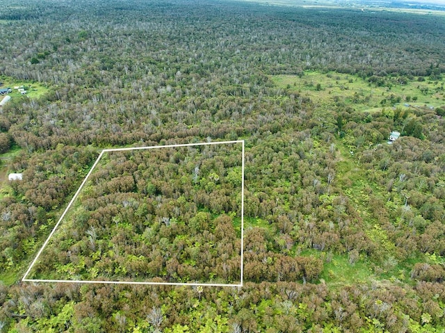 Makaala Rd, Mountain View, HI 96785 - photo 9