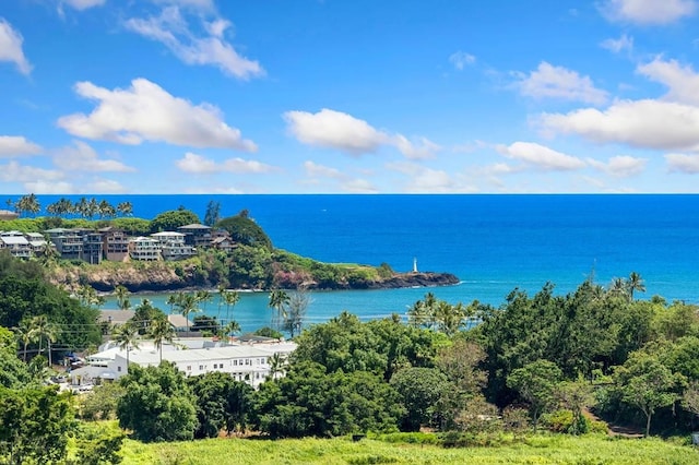 2938 Mokoi St, Lihue, HI 96766 - photo 1