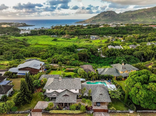 2938 Mokoi St, Lihue, HI 96766 - photo 30