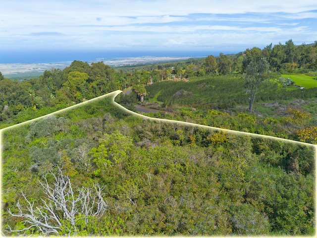 75-5430 Nalo Meli Dr, Holualoa, HI 96725