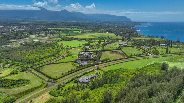 2332 Makanaano Pl, Kilauea, HI 96754 - photo 27