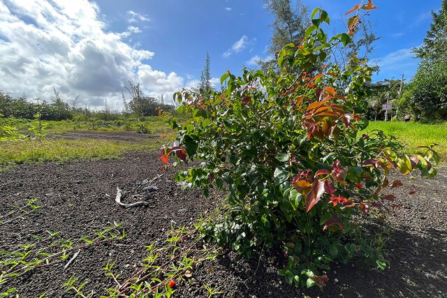 15-920 Paradise Ala Kai Dr, Keaau, HI 96749