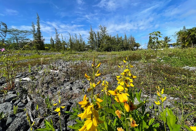 15-920 Paradise Ala Kai Dr, Keaau, HI 96749