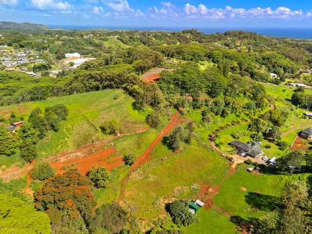 Kaumualii Hwy, Kalaheo, HI 96741
